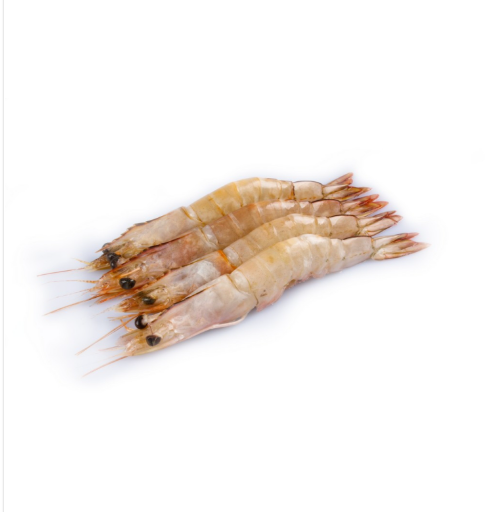 SEA WHITE PRAWNS / NAARAN CHEMEEN / നാരൻ (40-50C)