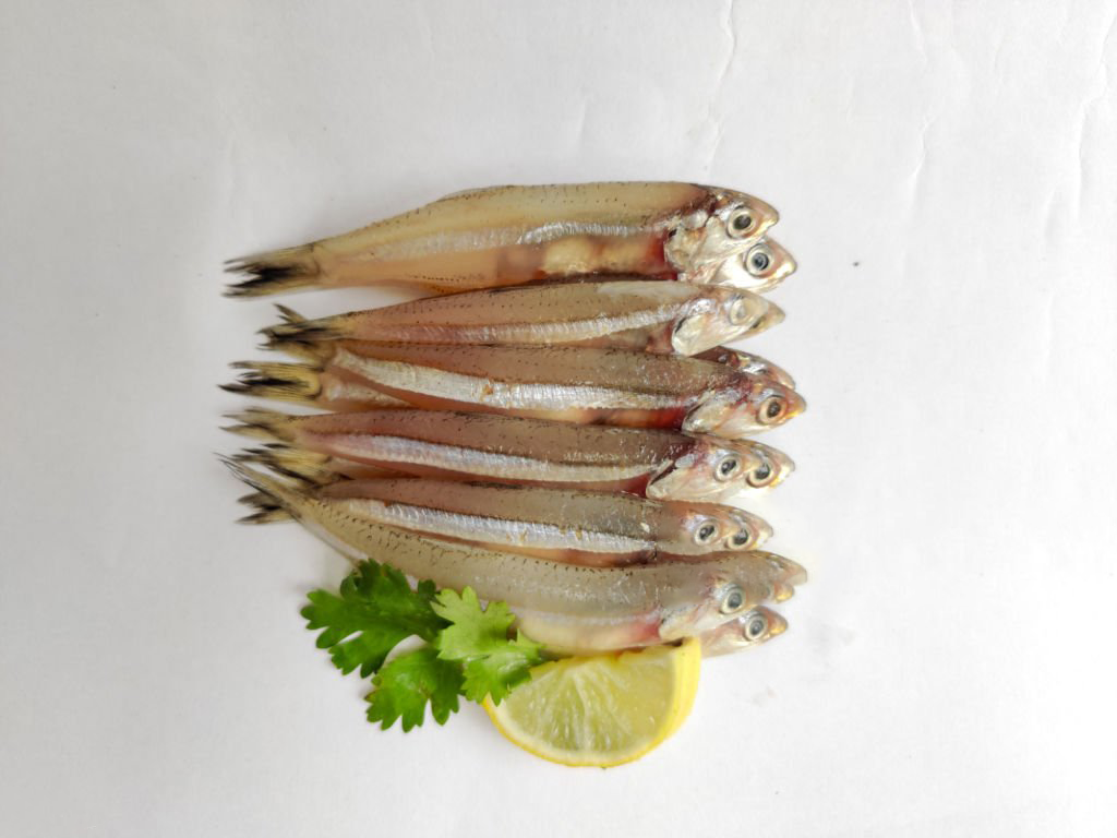 ANCHOVY / NETHOLI / നെത്തോലി (M)