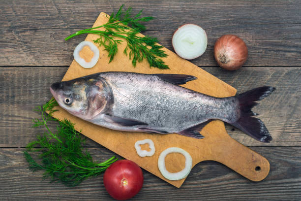 ASIAN CARP / CATLA /കട്‍ല (S)