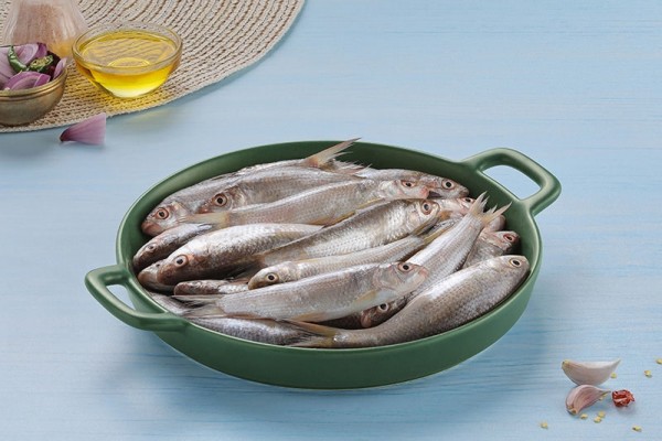 LABEO BATA / PULLAN / പുല്ലൻ