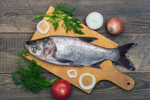 [6295] ASIAN CARP / CATLA /കട്‍ല (S)